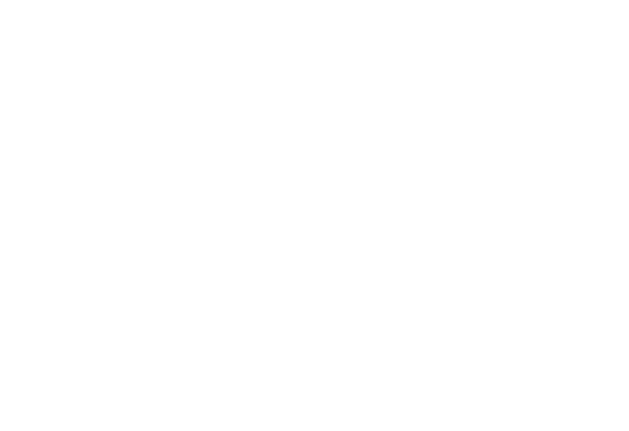 Web Developer
